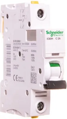 Image de Schneider Electric Disjoncteur de protection de ligne 2 A unipolaire C (A9F07102)