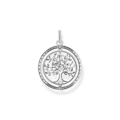 Produktbild von Thomas Sabo PE934-637-21 Anhänger