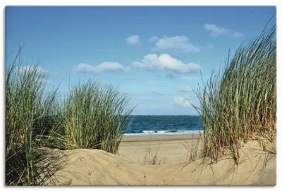 Produktbild von ARTland Leinwandbild Blick aus der Düne auf das Meer Größe: 90x60 cm