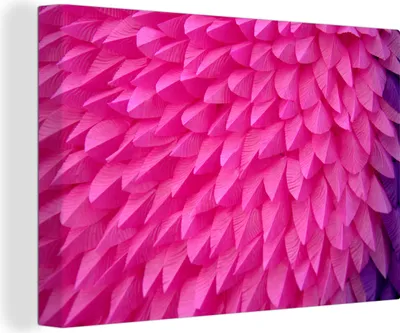 Obrázok produktu pre OneMillionCanvasses® - Obrazy na plátne - 140x90 cm, textúra ružového peria, nástenná umelecká tlač Nástenná dekorácia - fotografia na plátne - maľba na drevenom ráme