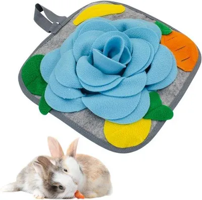Produktbild von Famanu Snuffelmat für Kleintiere - Interaktives Spielzeug mit Antirutschdesign