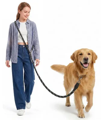 Produktbild von Hundeleine – Nylon – 3 Meter – 10 mm – Reflektierend – Für Hunde bis 60 kg