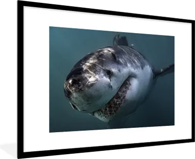 Produktbild von MuchoWow® MuchoWow® Gerahmtes Poster Hai - Weiß - Wasser 90x60 cm - Poster mit zchwarzem Bilderrahmen - Wanddekoration - Fotos