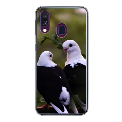 Produktbild von MuchoWow® Handyhülle Schutzhülle Hülle für Samsung Galaxy A40 Vögel - Zweig - Blätter Silikon Softcase Handy Hülle - Handy-Tasche