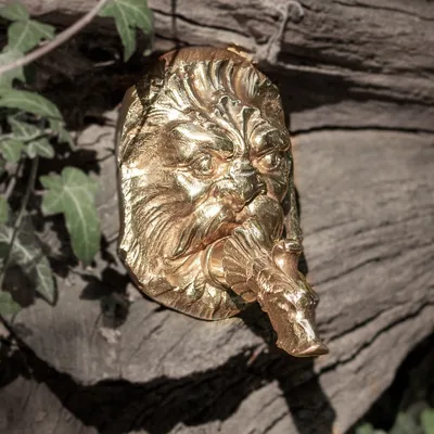 Produktbild von Wasserlauf für Wandbrunnen, Wasserspeier mit Löwenrosette, Messing 1/2"