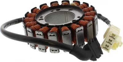 Image de Stator d'alternateur pour Yamaha FZS 1000 S Fazer, année de fabrication 2003-2005, de la marque pamoto - Neuf