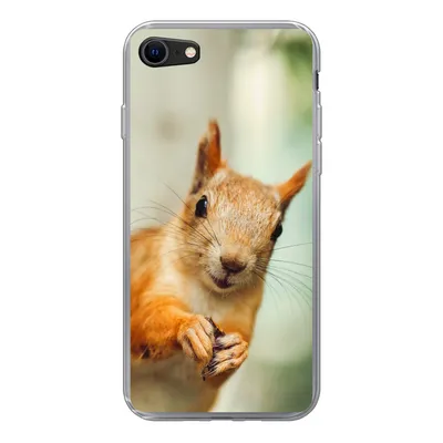 Produktbild von MuchoWow® Handyhülle Schutzhülle Hülle für iPhone SE 2022 Eichhörnchen - Lustig - Nuss - Kinder - Jungen - Mädchen - Kind Silikon Softcase Handy Hülle - Schutzhülle