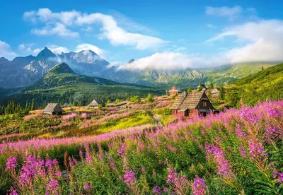 Produktbild von Castorland Puzzle Tatras, Polen - 1000 Teile - Natur Landschaft