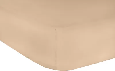 Produktbild von Mr.Sandman Elasthan Classic Topper Spannbetttuch Apricot 160x200-210cm 220g/m²