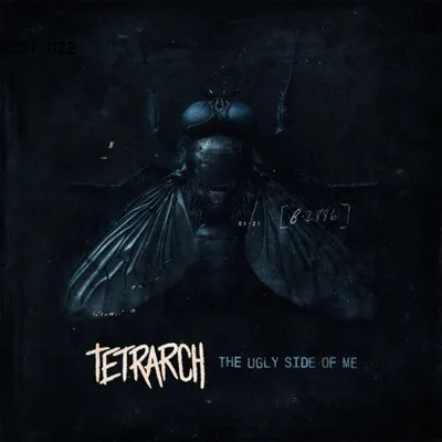 Produktbild von Tetrarch: Tetrarch: The Ugly Side Of Me (Crystal Clear Vinyl) - - (LP / T)