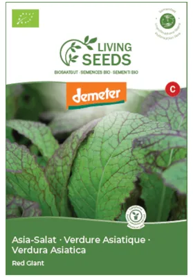 Produktbild von Asia Salat Red Giant 4.6g Saatgut von Living Seeds