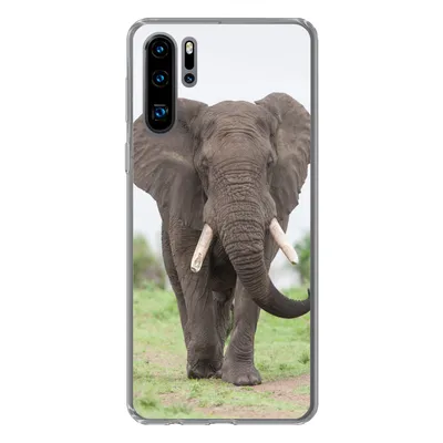 Produktbild von MuchoWow® Handyhülle Schutzhülle Hülle für Huawei P30 Pro Elefant - Tiere - Gras - Natur Silikon Softcase Handy Hülle - Schutzdeckel