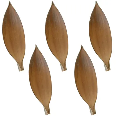Immagine prodotto di Conchiglie di cocco decorative Decorazione naturale Materiale per l'artigianato Composizioni naturali Set di 5 30-40 cm