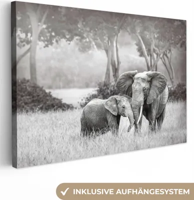 Obrázek produktu pro OneMillionCanvasses® - Obraz na plátně - Slon - Zvířata - Příroda - Černobílý, nástěnná malba, nástěnné dekorace obrazy obývací pokoj, 90x60cm