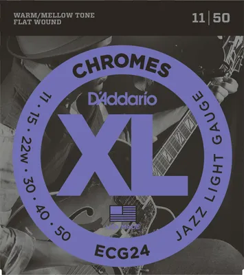 Zdjęcie produktu dla D'Addario ECG24