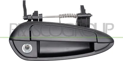 Produktbild von PRASCO FT3428013 Türgriff Vorne Rechts für FIAT GRANDE PUNTO (199)