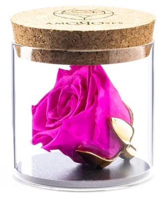 Gestabilisierte Rose mit 24 Karat vergoldetem Kelch im Glas, 1 Stück