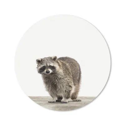 Produktbild von MuchoWow® Mauspad Mousepad Tiere - Waschbär - Weiß 30x30 cm - Mousepads - Maus Mat - Pad - Mausunterlage - Tischunterlage - Schreibtischmatten