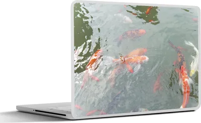 Produktbild von MuchoWow® Laptop Aufkleber Sticker Cover Eine Gruppe von Koi-Karpfen in einem Teich 36.5x27.5 cm - Laptop-Sticker