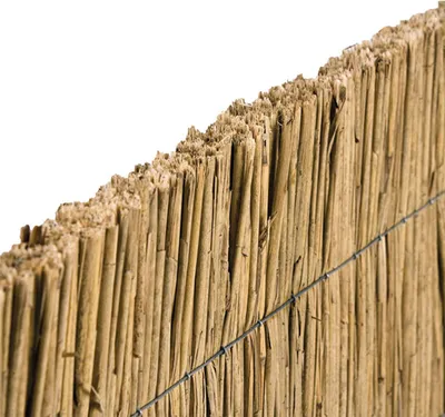 Productafbeelding van Rietplaat 100 cm Tuindeco