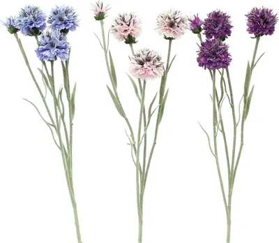 Produktbild von 3x Kunstblume Kugeldistel rose, lila, blau 59cm – Dekozweige