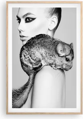 Produktbild von Gerahmtes Poster - Rahmen in heller Eiche - Chinchilla Frau Porträt - 61x91,5 cm - Wand Bild - Wanddeko - Wandbilder - Wandposter - Bilderrahmen - Bilder - Kunstdruck - Wandbild - P2NPA61x91-4278