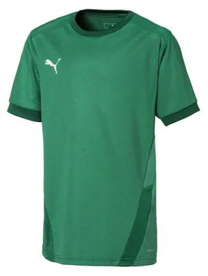 Productafbeelding van Puma - "TeamGoal" T-shirt voor kinderen, model PP5521 (maat 116) (groen)