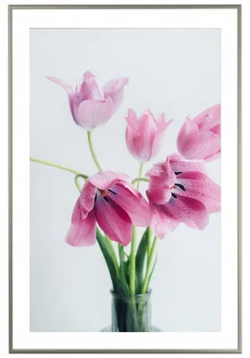 Produktbild von Framai Aluminium Silber Bilderrahmen 62x93 cm