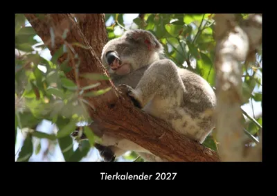 Produktbild von Tierkalender 2027 Fotokalender DIN A3