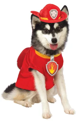 Produktbild von Rubie's 580211M Offizielles Paw Patrol Marshall Haustierkostüm, Größe M (Hals bis Schwanz, 38,1 cm, Brust 43,2 cm)