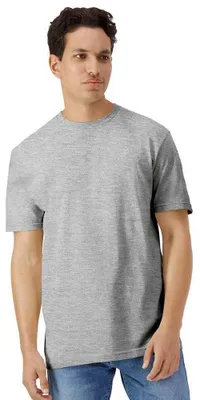 Produktbild von Gildan - T-Shirt Leicht für Herren/Damen Uni FK1909 (S) (Grau)