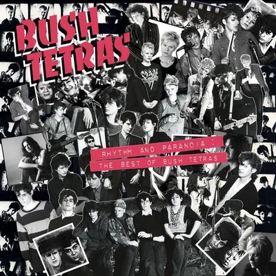 Zdjęcie produktu dla Rhythm And Paranoia: The Best Of Bush Tetras
