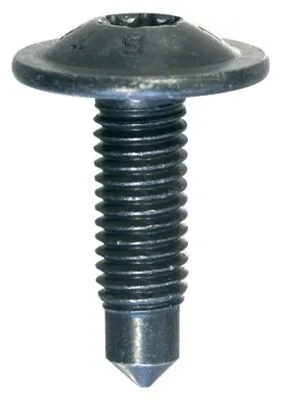 Produktbild von 15x RESTAGRAF Clip Zier- / Schutzleiste 1433 für RENAULT MASTER III Kasten (FV)