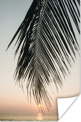 Produktbild von MuchoWow® Poster Palmenblatt - Meer - Sonne 120x180 cm - Kunstposter
