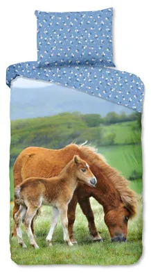 Productafbeelding van Good Morning Kinderdekbedovertrek "Regine" - Multi - (140x200 cm) - 100% Katoen