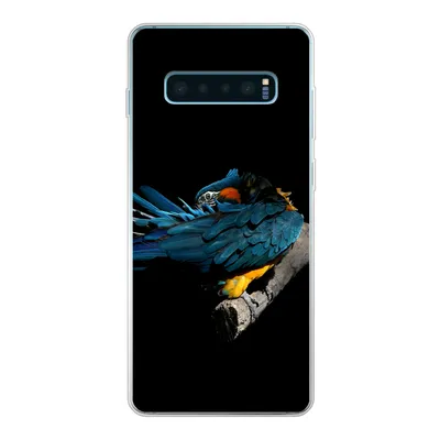 Produktbild von MuchoWow® Handyhülle Schutzhülle Hülle für Samsung Galaxy S10 Plus Vogel - Federn - Zweig - Schwarz Silikon Softcase Handy Hülle - Schutzhülle