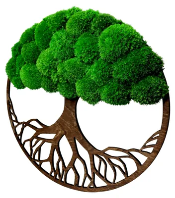 Produktbild von Moosbild - Wanddeko in Baumform - 40 cm - Wandbild aus natürlichen Materialien und Deko-Moos