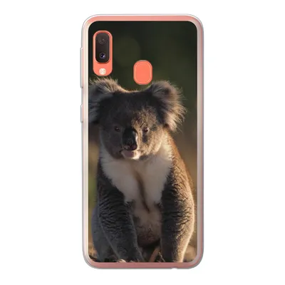 Produktbild von MuchoWow® Handyhülle Schutzhülle Hülle für Samsung Galaxy A20e Koala - Sonne - Tier - Kinder - Jungen - Mädchen Silikon Softcase Handy Hülle - Abdeckung