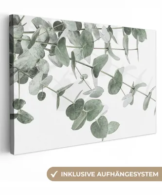 Obrázok produktu pre OneMillionCanvasses® - Obrazy na plátne - 140x90 cm, Eukalyptus - Listy - Príroda - Zelená, Nástenná umelecká tlač Nástenná dekorácia - Fotografia na plátne - Obraz na drevenom ráme