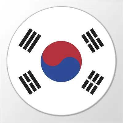 Produktbild von Huuraa Magnet Südkorea Flagge Geschenk Kühlschrankmagnet 59mm Kühlschrankmagnet Flaschenöffner Südkorea Flagge Präsent