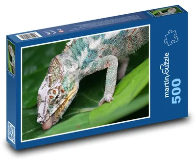 Obrázok produktu pre Puzzle 500 Chameleón na zelenom liste - martinpuzzle