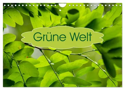 Produktbild von Grüne Welten (Wandkalender 2027 DIN A4 quer), CALVENDO Monatskalender