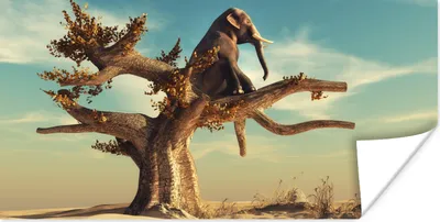 Produktbild von MuchoWow® Poster Elefant - Baum - Natur - Wüste 40x20 cm - Poster für die Wand - Poster Schlafzimmer