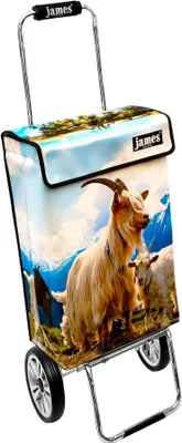 Produktbild von James Einkaufstrolley - MECKER - stabiler Einkaufswagen mit individuellem Design - mehrfarbig: beige | blau in Ausführung: Chrome19