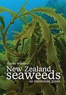 Immagine prodotto di New Zealand Seaweeds