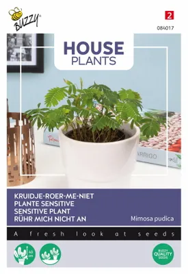 Obrázok produktu pre Buzzy House rastliny Mimosa pudica Miešané semená mliečneho bodliaka - Ca. 0,2 gr | Buzzy_084017