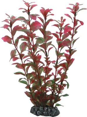 Obrázok produktu pre Ludwigia hobby, 25 cm