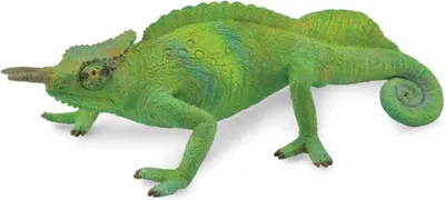 Immagine prodotto di COLLECTA Camaleonte