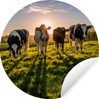 Produktbild von MuchoWow® Runde Wandtattoo - Wandsticker Tapete Aufkleber Kühe - Sonne - Gras - Tiere - Bauernhof Ø 50 cm Selbstklebend und Repositionierbar - Wandaufkleber - Kreis - Wand Kreis - Wand Bild - Foto Tapete - Selbstklebende - Wohnzimmerdekoration - Wand Dekoration - Kinderzimmer