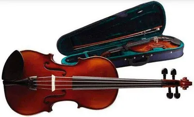 Image de Stagg VN-4/4, violon avec étui